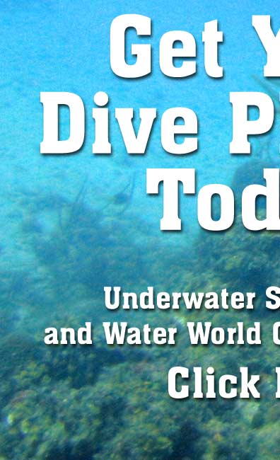 Click Here for your Dive Photos