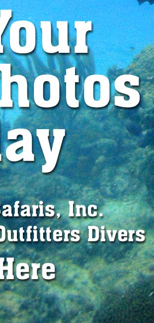 Click Here for your Dive Photos